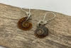 Ammonite earrings