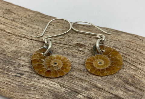 Ammonite earrings