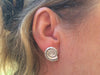 Ammonite  silver stud earrings
