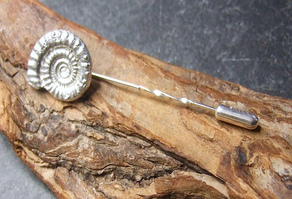 Ammonite  silver scarf pin