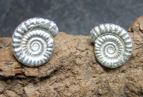 Ammonite  silver stud earrings