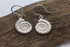 Ammonite  silver stud earrings